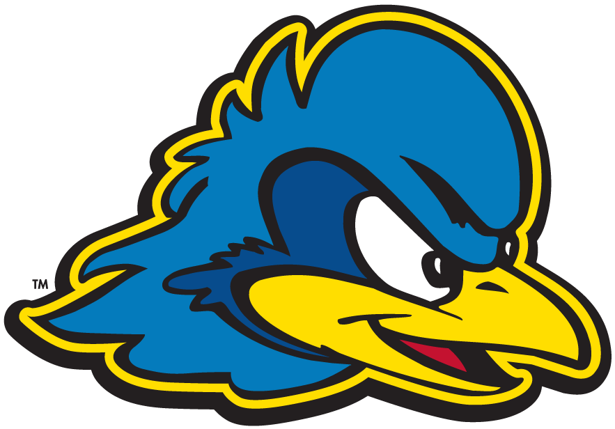 Delaware Blue Hens 2009-Pres Secondary Logo 01 iron on paper